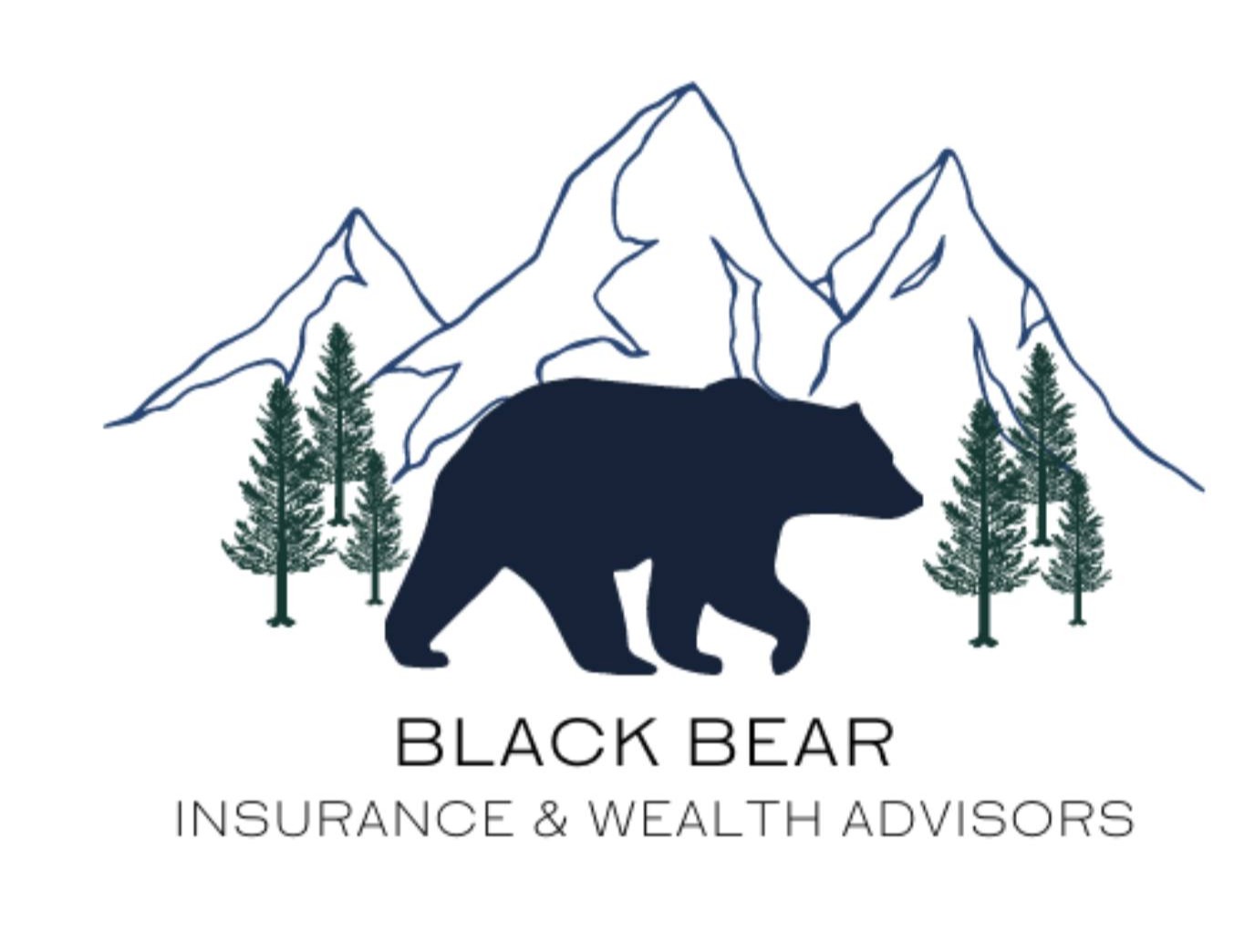 Black Bear Insurance